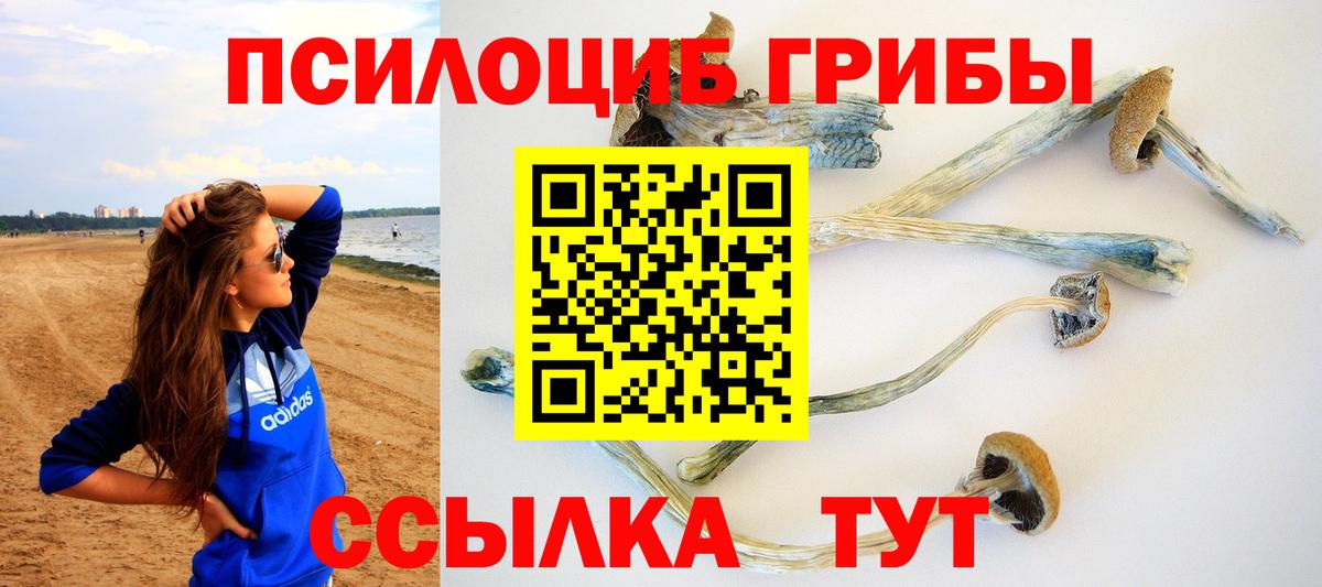 Галлюциногенные грибы Psilocybe Углич